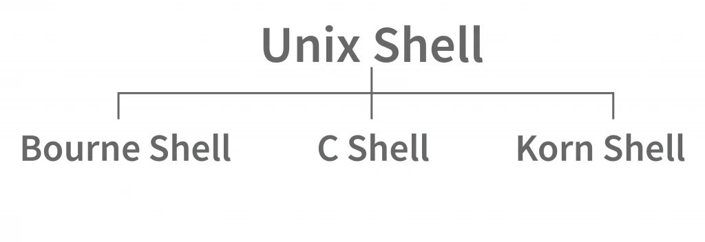 دیاگرامی از انواع shell